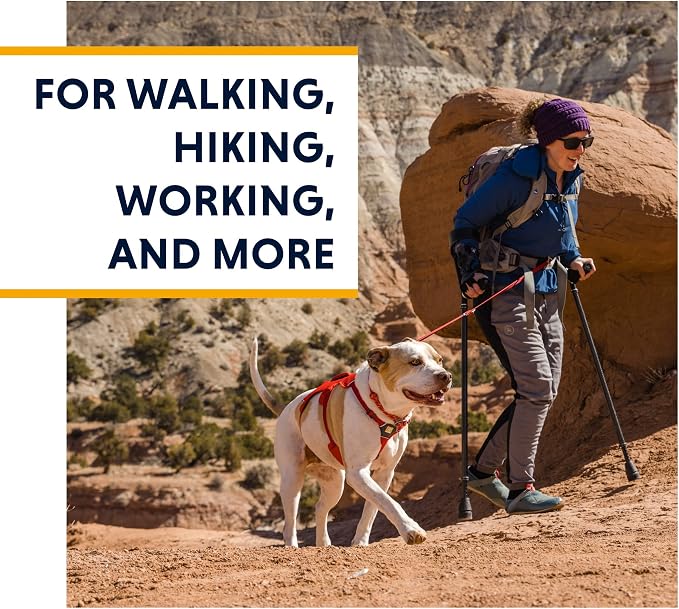 Ruffwear, Web Master, Multi-Use Support Dog Harness, Hiking and Trail Running, Service and Working, Everyday Wear, Purple Rain, XX-Small