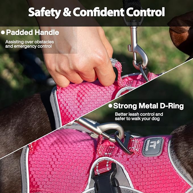 Escape Proof Dog Harness, Dachshund Harness, Reflective Dog Harness with Handle, Durable,Adjustable Vest for Small Medium Large Dogs Walking, Training, and Running Gear (Rose red,XL)