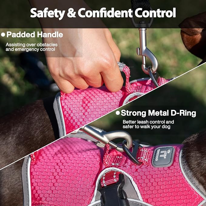 Escape Proof Dog Harness, Dachshund Harness, Reflective Dog Harness with Handle, Durable,Adjustable Vest for Small Medium Large Dogs Walking, Training, and Running Gear (Rose red,L)