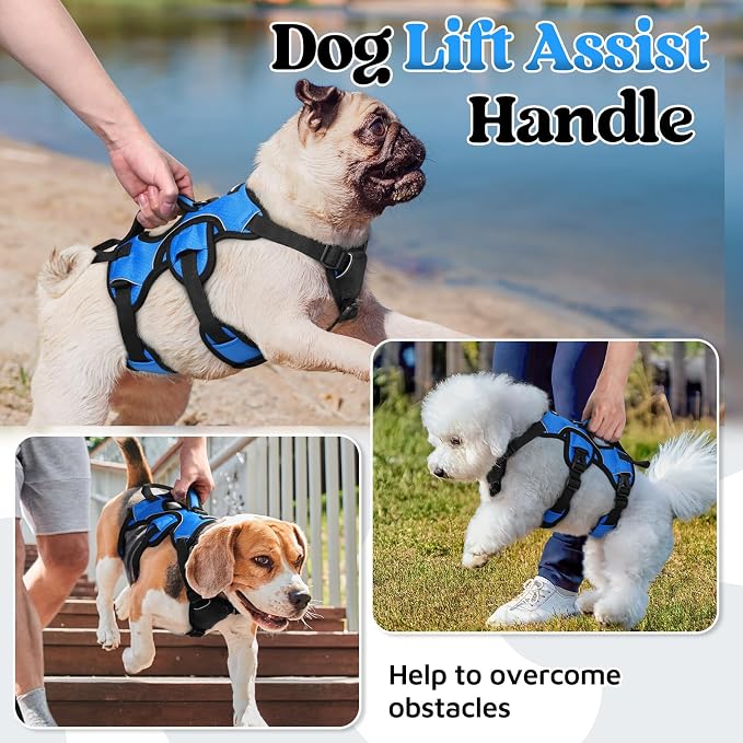 rabbitgoo Escape Proof Dog Harness for Small, No Pull with Lift Handle | No Escape, Full Soft Padded, Reflective Adjustable Vest, Leash Clip for Walking Hiking Training, Blue, Small