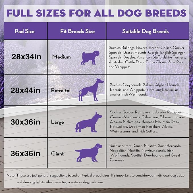 CROCI XXL Puppy Pads with Adhesive Tabs Lavender Scented 36x36in 100Ct | Super Absorbent Dog Pads Extra Large Holds Up to 11 Cups of Urine, 6-Layers, Quick-Dry Surface, Leak-Proof, Disposable