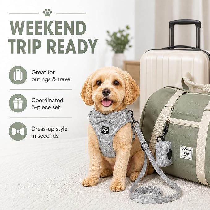 EVERKING 5-Piece Dog Travel Set, Adjustable Harness, Leash, Collar, Poop Bags, Bowtie for Small Medium Dogs, Beige, Breathable No-Pull Design (Slate Gray, L)