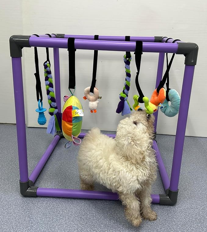 Puppy Play Gym for small dogs with 8 Hanging Interactive Toys Indoor Play | Funny Enrichment Jungle Playground to Keep Them Busy，with Bungee Straps for self-play,19.5*19.5*19.5in