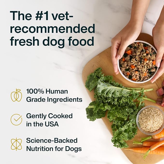 JustFoodForDogs JustFresh Wet Dog Food, Fresh Pet Meals and Toppers with No Preservatives, Resealable Package, Human Grade, Home-Cooked Beef & Chicken, 12 oz - 8 Pack