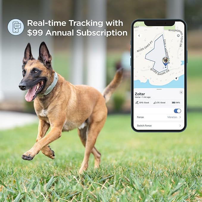PetSafe Invisible Fence GPS Dog Fence & Tracking Collar Bundle - Wireless GPS Tracker Collar with Red Training Flags & Treat Bag - Waterproof - Medium & Large Dogs - 1 Year Subscription Included