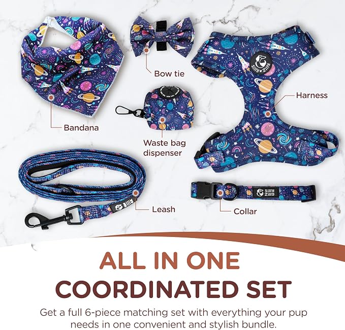 No Pull Harness and Leash Set - 6-in-1 Adjustable Vest Harness and Collars for Medium and Large Dogs. (Cosmic, Large)