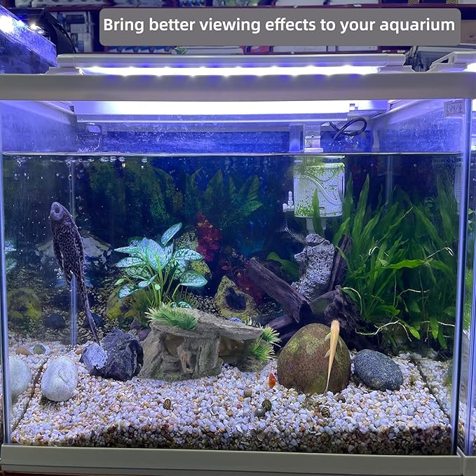 Betta Fish Hideout Cave Aquarium Rock Decor for Small Tank – 5.5 x 2.9 x 2.9 Inches Shelter for Betta Fish Guppies Shrimp with Natural Stone Look Lightweight Resin