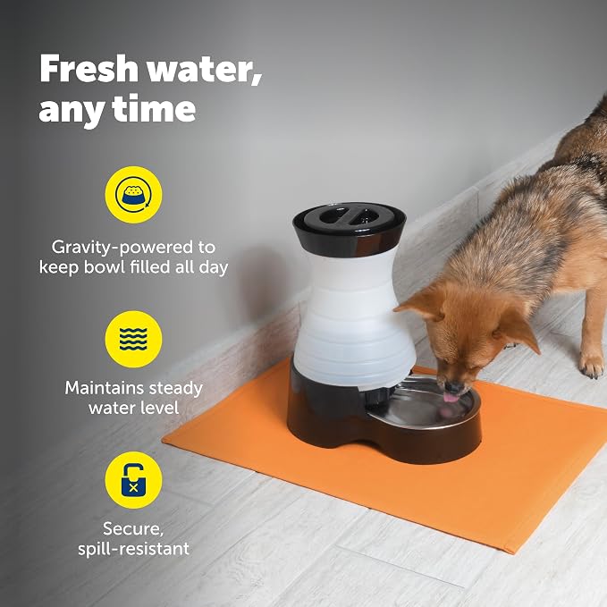 PetSafe Healthy Pet Food & Water Station, Small, 2-Pack Filters | Gravity Food & Water Station, 2 lb food, 64 oz Water, Dishwasher-Safe Stainless Bowl, Extra Filters