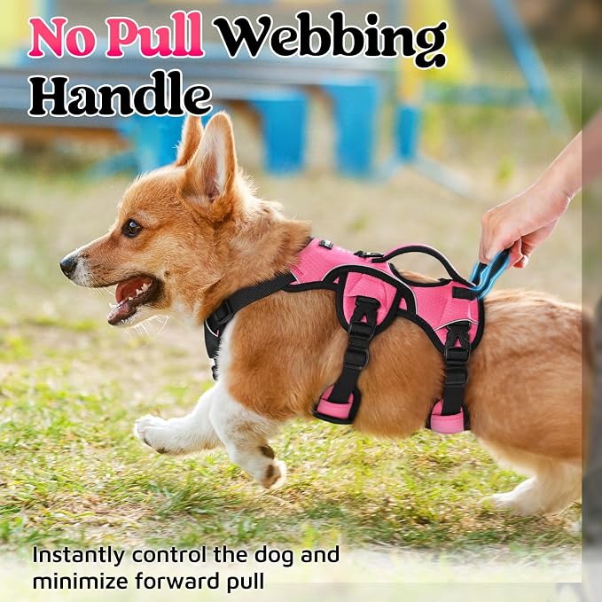 rabbitgoo Escape Proof Dog Harness for Small, No Pull with Lift Handle | No Escape, Full Soft Padded, Reflective Adjustable Vest, Leash Clip for Walking Hiking Training, Peach Pink, Small