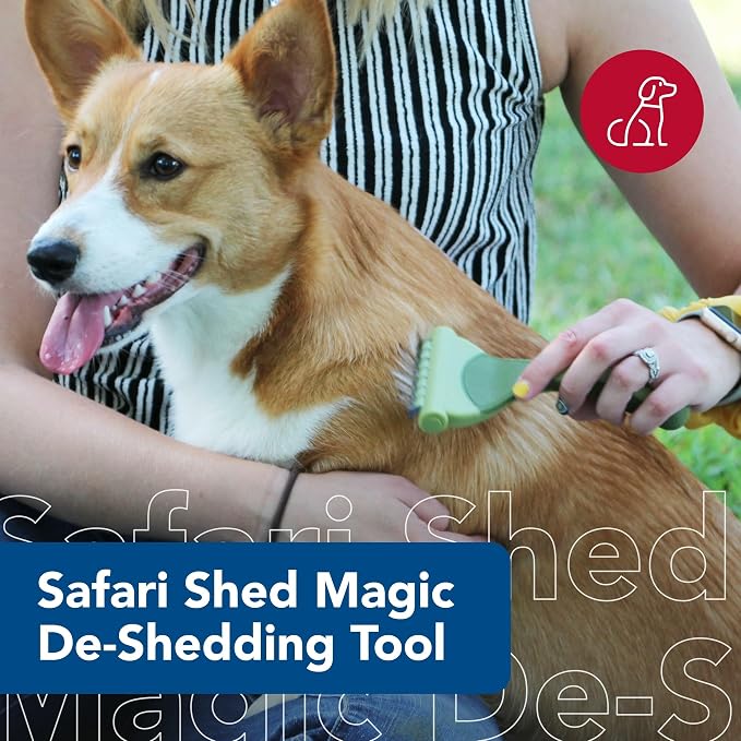 Coastal Pet Safari Shed Magic Deshedding Tool for Dogs with Medium to Long Hair - Deshedding & Detangling Dog Brush - Small