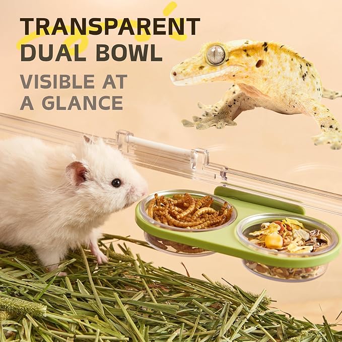 Magnetic Reptile Feeding Ledge with 2 Pack Plastic Bowls Food Feeder Water Dish for Crested Gecko Dwarf Hamster (Green, Magnetic-Mounted)