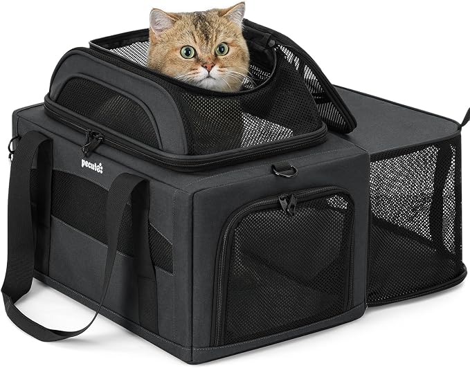 Pecute Top Expandable Airline Approved Pet Carrier for Cats, Dark Gray | Top side expandable, breathable scratch-resistant mesh, leakproof pee pad, locking zippers, foldable travel bag under 11lbs