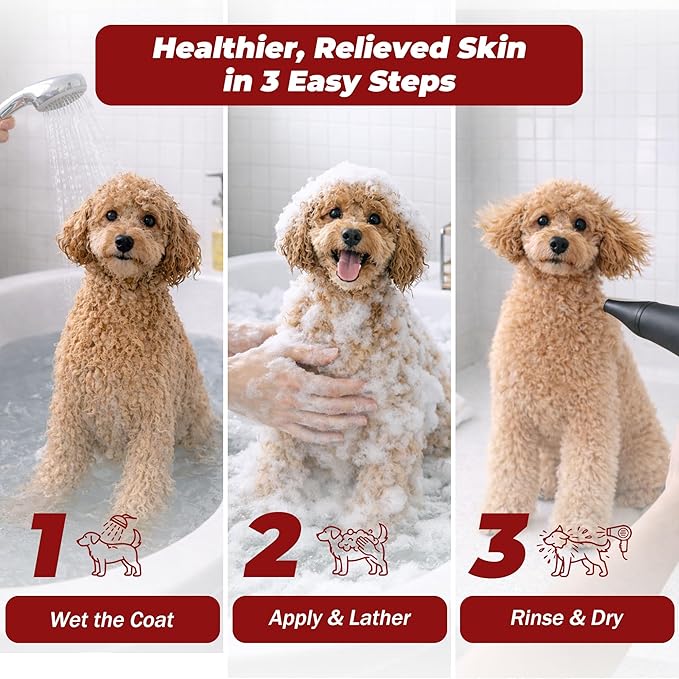 Yeast Infection Treatment for Dogs Shampoo - Allergy Relief, Yeast Infection, Hot Spot & Dry Skin Anti-Itch Treatment Wash - Vet Formula - Healthy Skin & Coat - 473ml / 16 fl oz