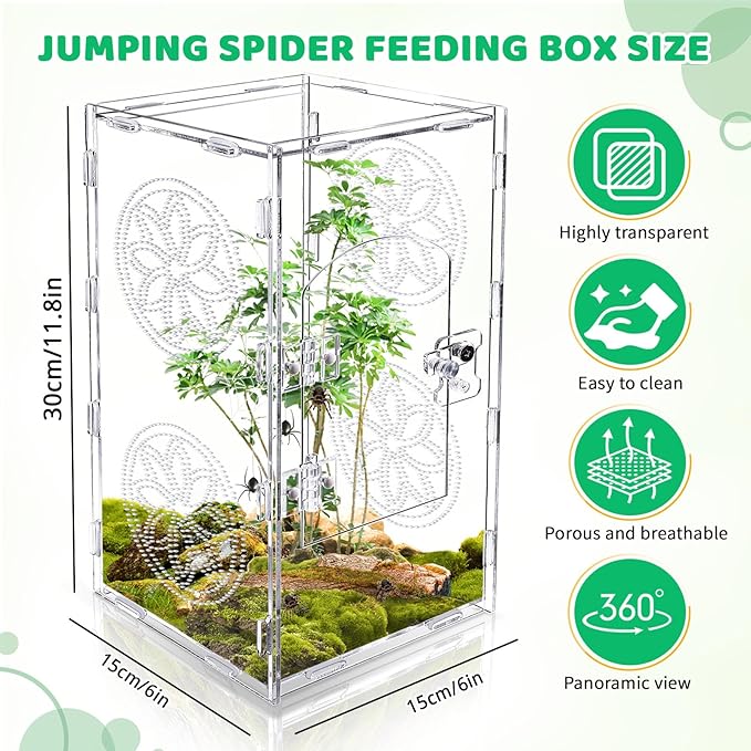 Large Jumping Spider Enclosure, 12x6x6 Inch Acrylic Tarantula Enclosure, Jumping Spider Accessories with Front Opening Door