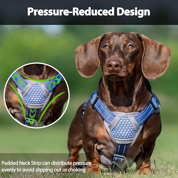 Escape Proof Dog Harness, Dachshund Harness, Reflective Dog Harness with Handle, Durable,Adjustable Vest for Small Medium Large Dogs Walking, Training, and Running Gear (Technicolor Blue,S)