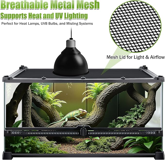 Reptile Terrarium 20"x12"x10", Full Glass Tank Enclosure for Small Reptiles, Geckos, Frogs, Lizards, Snakes, Spiders, Turtles, Rainforest Terrarium Habitat
