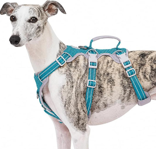 Escape Proof Dog Harness, No Pull Reflective Harness with Lift Handle, Adjustable Pet Vest with Front and Back Leash Clips for Small Medium Large Dogs Walking Hiking Training (Teal,L)