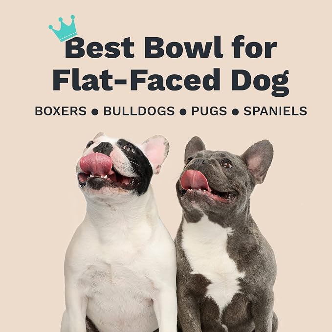 Enhanced Pet Bowl, Stainless Steel Slanted Dog Bowl with Raised Ridge for Flat-Faced Dog Breeds or Cats, Food-Grade Non-Slip No Spill Bowl for Dogs, Less Mess, Less Gas, and Better Digestion (Small)