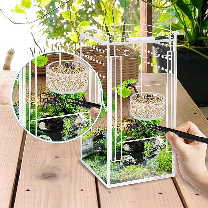 2+2 PCS Jumping Spider Magnetic Feeding Dish with Dropper & Tweezer, Magnetic Water Bowl, Reptile Feeding Tongs, Tiny Food Dishes Water Dish for Jumping Spider, Tarantula&Other Small Pets-Coldairsoap