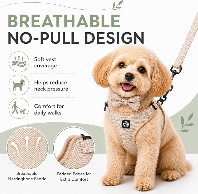 EVERKING 5-Piece Dog Travel Set, Adjustable Harness, Leash, Collar, Poop Bags, Bowtie for Small Medium Dogs, Beige, Breathable No-Pull Design (Beige, S)