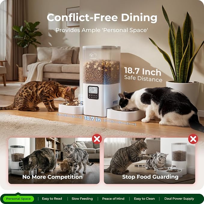 Frienhund Timed Automatic Cat Feeder 2 Cats with Slow Feed: Dual Automatic Dog Feeder with Information Visualization, Programmable Auto Cat Food Dispenser for Multiple Pets,Detachable for Clean-29 Cup