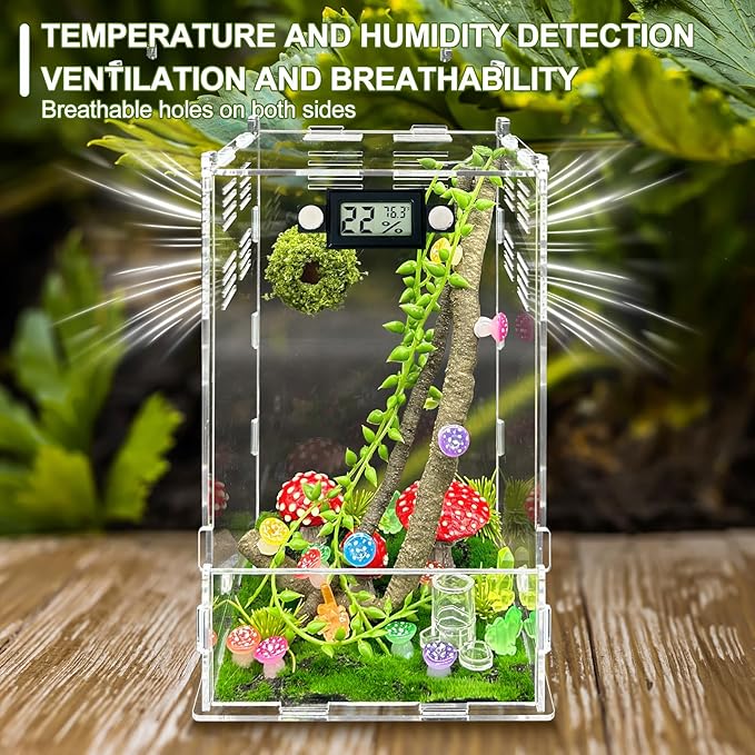 Jumping Spider Enclosure,DIY Insects Habitat,Small Reptile Terrarium Glass House Accessories Set,with Temperature and Humidity Detector Water Feeder Platform Hide,5.5“x5.5”x9.5“ (Luminous Mushrooms)