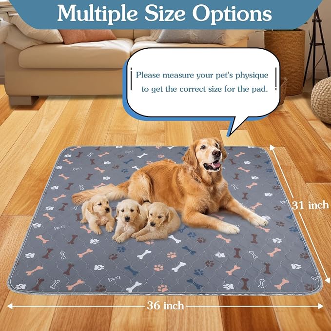 Washable Pee Pads for Dogs, 2 Pack Reusable Puppy Pads, 18"x24" | Super Absorbent, Waterproof & Leakproof, Non-Slip Bottom, Machine Washable, For Floors, Beds, Couches, Crates, Carpets, Cars