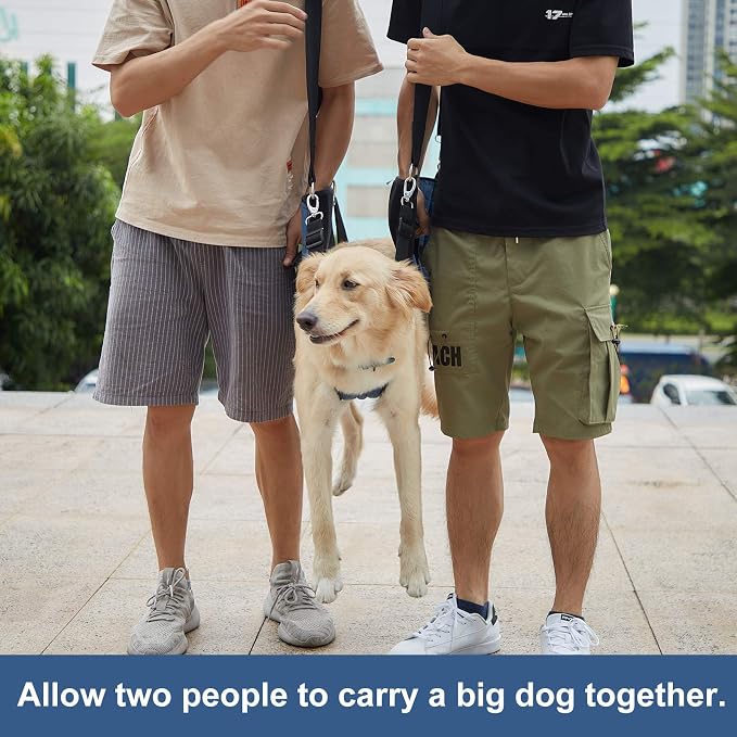 COODEO Dog Carry Sling, Emergency Backpack Pet Legs Support & Rehabilitation Dog Lift Harness for Nail Trimming, Dog Carrier for Senior Dogs Joint Injuries, Arthritis, Up and Down Stairs (M, Blue)