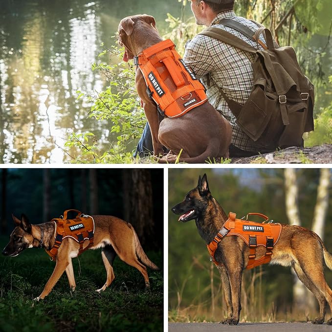 Tactical Molle Vest Mesh Dog Harness with 10 Removale Pet Patches | Breathable Service Dog harness with Double Soft Padded Handle for Medium Dog, Reflective Military Pet Vest for Walk Hiking