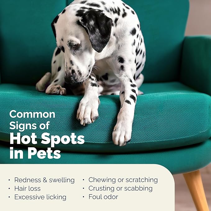 Vetnique Dermabliss Hot Spot Treatment for Dogs - Antiseptic Medicated Chlorhexidine Spray - Vet Recommended for Skin Infections, Hot Spots & Irritation (Hot Spot Spray, 8oz)