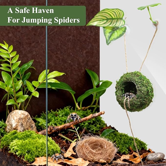 Big Jumping Spider Hide Kit, Jumping Spider Enclosures Habitat Accessories, Climbing Spiders Resting Hideout with Suction Cup Rope Bridge Leaf Ledge for Tarantula Small Insects