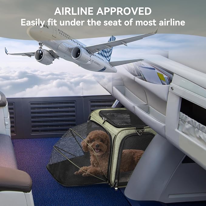 Petsfit Medium Expandable Cat Carrier for Air Travel, Up to 13 lb | 17 x 11 x 11 in; sized for Delta Airlines, with locking zippers, a handy D-ring, large pocket and multi-side ventilation.