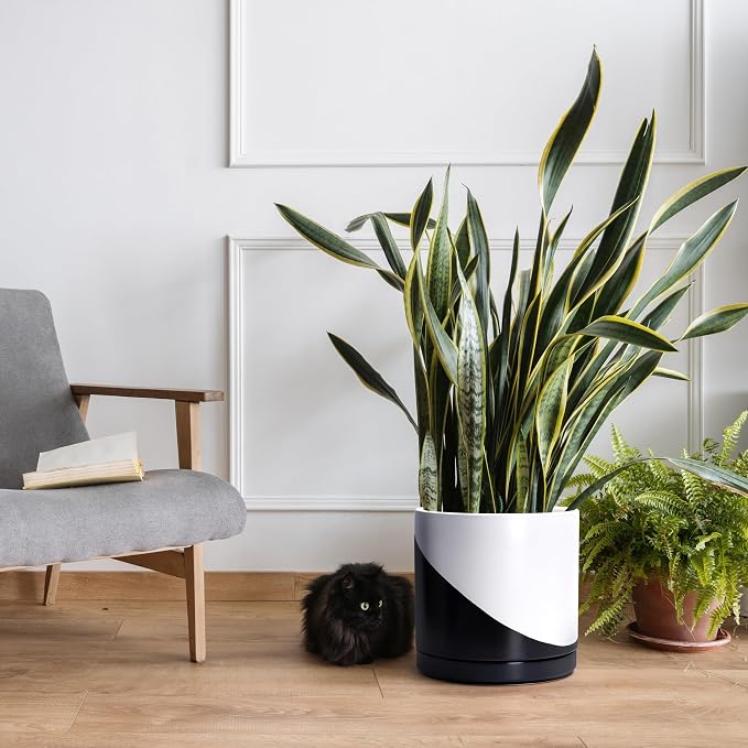 D'vine Dev 12 Inch Ceramic Planter Pot, Black White Diagonal, 94-O-F-K | Modern Cylinder Design, Drainage Hole & Saucer Included, Stable Structure, Elegant Home Accent