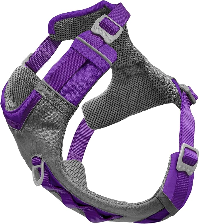 Kurgo Journey Air Dog Harness, Purple, Extra Large | Padded Chest, Ripstop Outer & Breathable Mesh, Back Assist Handle, Rust-Free Aluminum Hardware, Reflective Trim