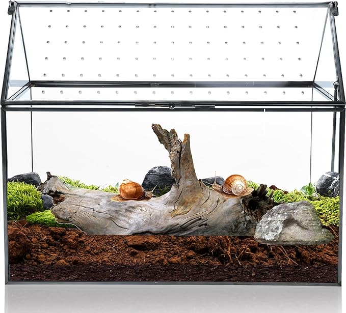 HighFree Geometric Glass Terrarium with Acrylic Lid, House Shape Black Terrarium with Breathing Holes for Snails, Succulent, Cacti, Air Plants, 10.3x8.3x5.9 inch (Terrarium Only)