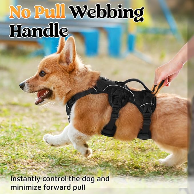 rabbitgoo Escape Proof Dog Harness for Small, No Pull with Lift Handle | No Escape, Full Soft Padded, Reflective Adjustable Vest, Leash Clip for Walking Hiking Training, Black, Small