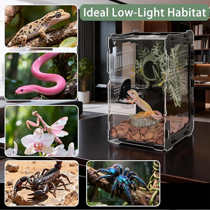 Jumping Spider Enclosure - 3mm Black Transparent Acrylic Terrarium for Tarantulas, Mantises & Frogs, 11.8x5.9x5.9 Inch Mechanical Frame Habitat with Magnetic Feeding Hole & Rotating Lock