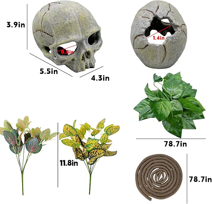 Tfwadmx 11Pcs Human Skull Decor with Plants, Snake Hide, Gecko Tank Accessories, Resin Skull with Climbing Vines Reptile Terrarium Tank Decor for Tarantulas, Lizards