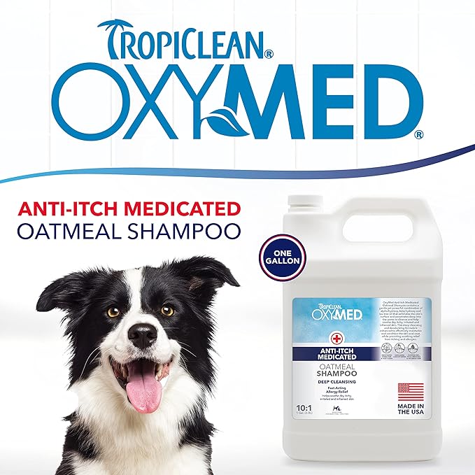 TropiClean OxyMed Dog Shampoo for Allergies and Itching, Medicated Oatmeal Shampoo for Dry Itchy Skin, Seborrhea, & Hot Spots, Cat Safe, 1 Gallon