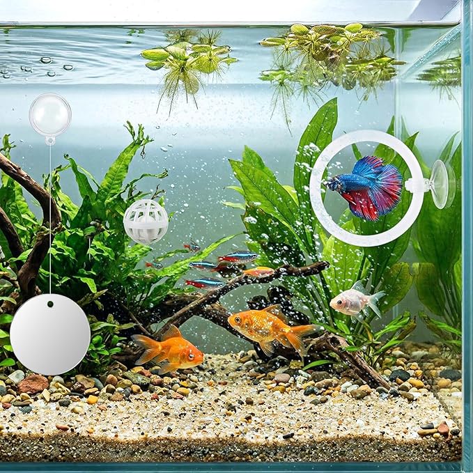 Betta Fish Tank Accessories Beta Enrichment Toys 2 Fish Exercise Training Rings with Suction Cups 2 Nitrifying Balls and 1 Floating Mirror with Ball for Aquarium Tank