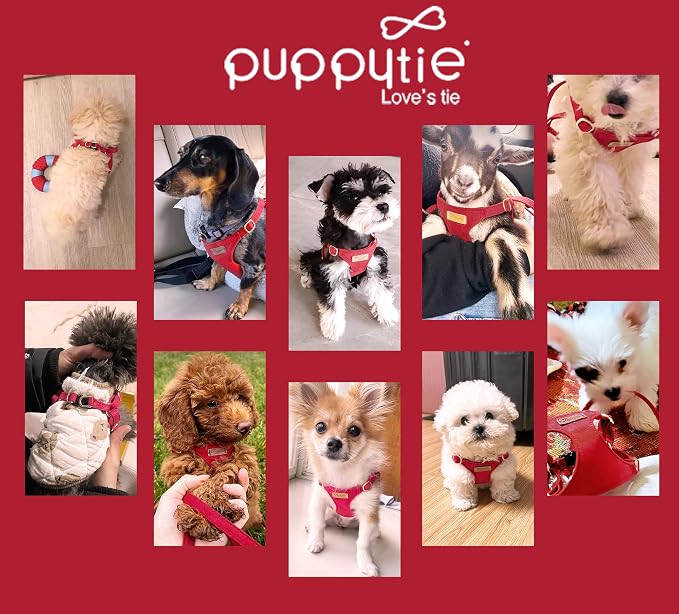 Puppytie xs Dog Harness with Multifunction Dog Leash,Soft Adjustable No Choke Escape Proof Pet Harness Vest,red-Camellia,XS