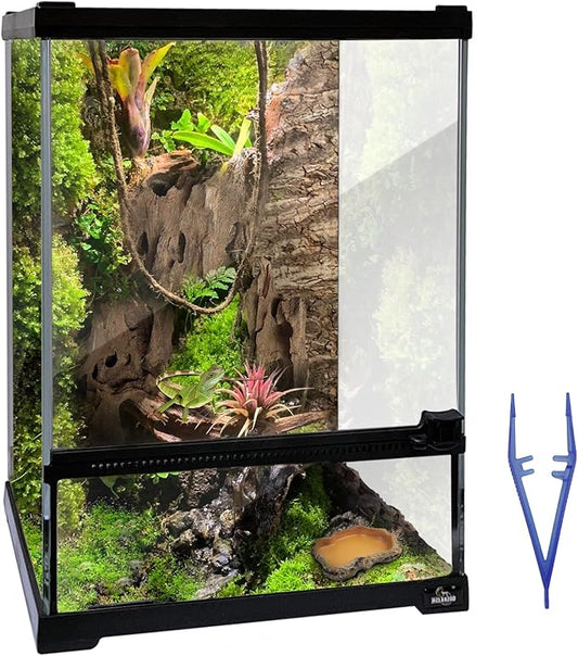 Reptile Glass Terrarium Tank 10 * 10 * 14in, Full View with Front Opening Door,Amphibians Enclosure Habitat Cage for Crested Gecko,Spider,Tarantula,Lizard,Hermit Crab,Frog,Mantises,Insects