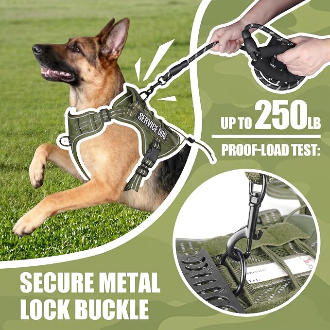 Service Dog Tactical Vest Harness and Leash Set Large Sized Dog Emotional Support- Tactical Dog Harness Training Collar with Name (Army Green, L)
