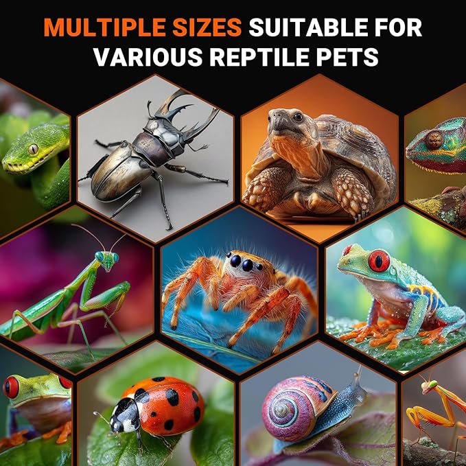 Jumping Spider Enclosure, Acrylic Terrarium with with Magnetic Doors, 0.8mm Micro-Ventilation, Stackable Escape-Proof Habitat for Jumping Spiders, Tarantulas & Small Reptiles, 3”x3”x6”