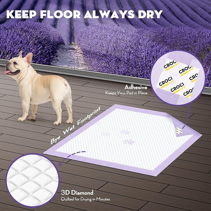 CROCI Puppy Pads with Adhesive Tabs Attractant Lavender Scent 22x22in 50Ct | Super Absorbent Pee Pads for Small Dogs Holds Up to 3 Cups of Urine, 6-Layers, Quick-Dry Surface, Leak-Proof, Disposable