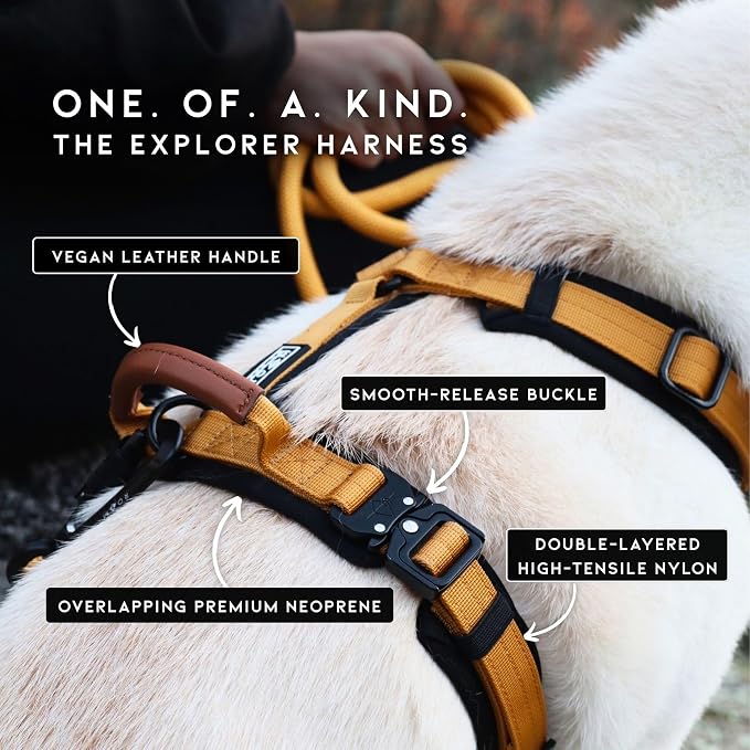 MADE TO ROAM Premium Explorer Harness - Y-Shaped Dog Harness with Adjustable Durable Nylon, Soft Padding, Metal Buckles and Leather Handle for Small, Medium, Large Dogs (Carolina Blooms, Size 6)