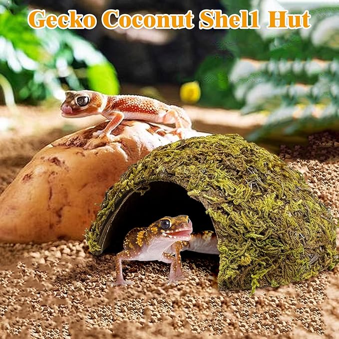PINVNBY 4 Pack Natural Green Moss Hide Caves Coconut Reptile Hideouts Hamster Climbing Toys Gecko Habitat Decor Lizard Shell Shelter for Snake Tarantulas Turtle Chameleon