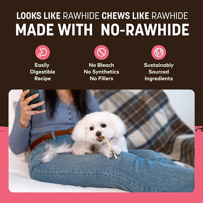 Earth Animal No Hide Stix - Rawhide Free Dog Chews Sticks 40 Count Salmon | Small Sticks Salmon Flavored Natural Rawhide Free Long Lasting Dog Chews - Pet Treats for Small Dogs and Cats