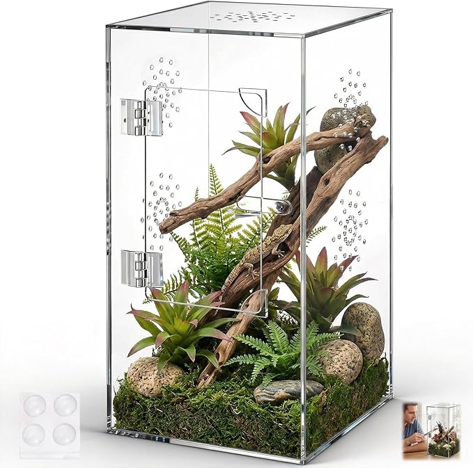 Large Jumping Spider Enclosure, 12x6x6 Inch Acrylic Spider Terrarium, Pre-Assembled Reptile Enclosure with Front Opening Door, Habitat Accessories for Mantis, Tarantula, Snail, Invertebrates