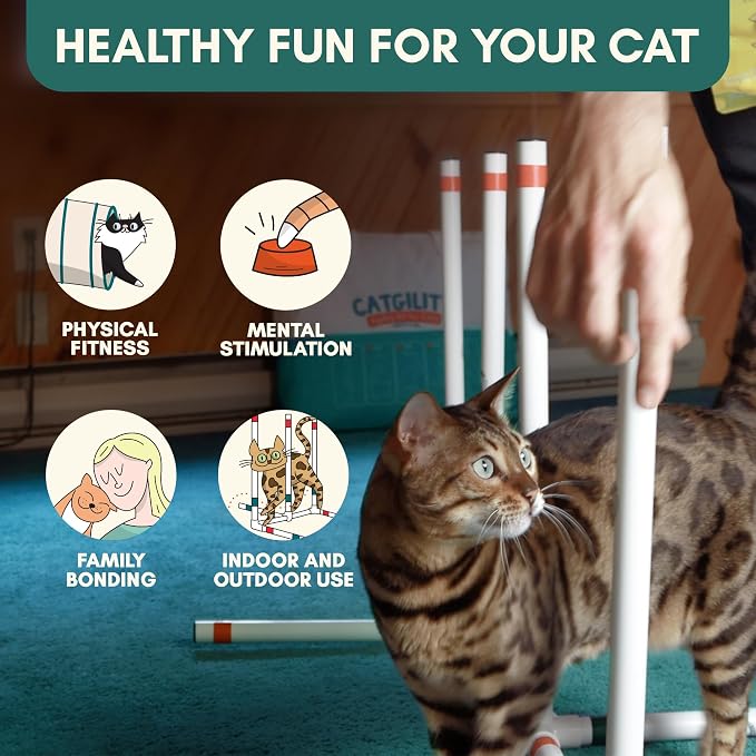 ALBERT & MIA Catgility™ Cat Agility Equipment, Hurdles, Poles, Hoop & Tunnel | Indoor obstacle course training for kittens and small dogs, jumping exercise and enrichment, clicker trainer guide included